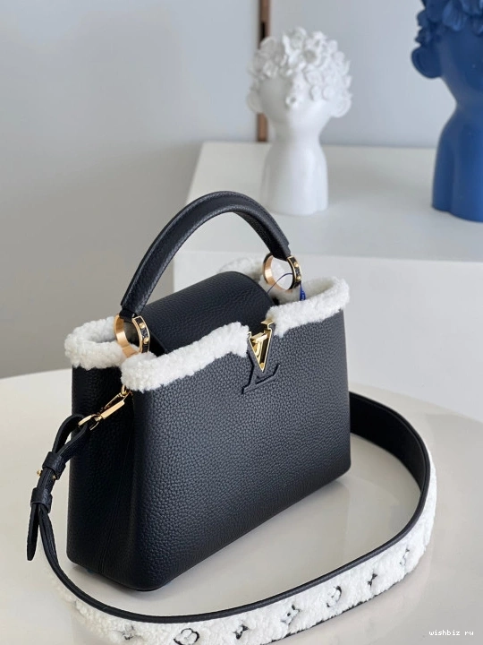 WIS VUITTON CAPUCINES LOUIS BB 0213